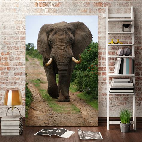 elephant stock wall art|More.